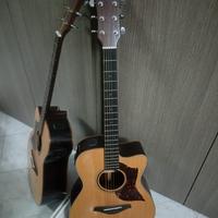 Chitarra Acustica Yamaha amplificata