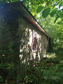 Rustico e terreno edificabile