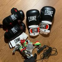 Kit boxe leone