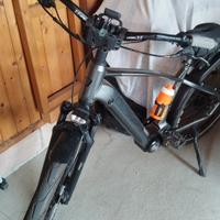 bicicletta eletrica