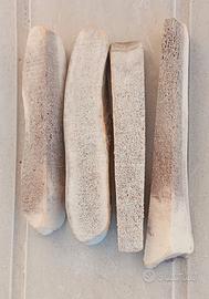 Gioco per cani di taglia piccola