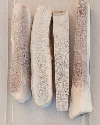 Gioco per cani di taglia piccola