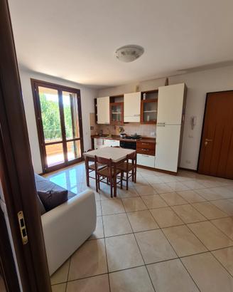 VR382 Mini appartamento zona Meridiana