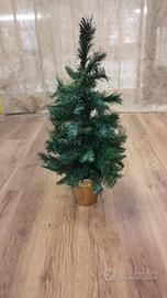 Abete con vaso di coccio