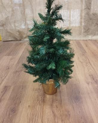 Abete con vaso di coccio