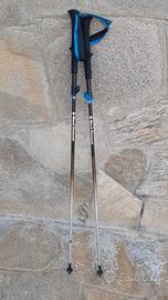 Bastoncini trekking Black Diamond Distance FLZ