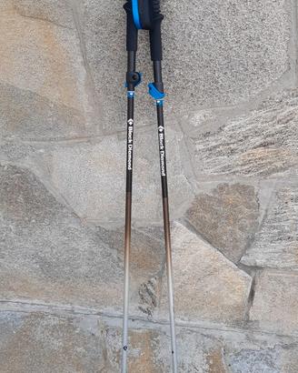 Bastoncini trekking Black Diamond Distance FLZ