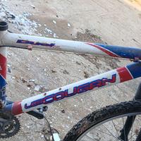 bici lee cougan tutta da sistemare