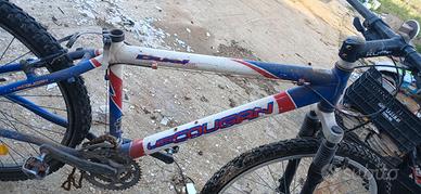 bici lee cougan tutta da sistemare