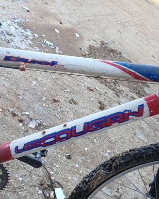 bici lee cougan tutta da sistemare