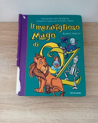 Il meraviglioso mago di oz