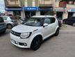 Suzuki Ignis 1.2 Dualjet 4WD All Grip Top