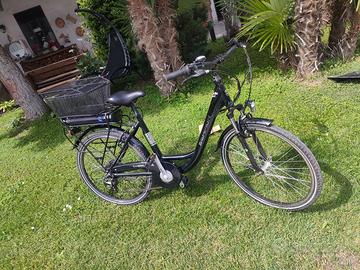 Bici eletttrica