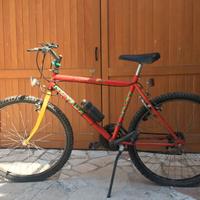 Bicicletta mountain bike "Nevada"