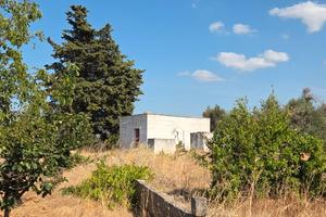 Terreno edificabile con uliveto e fabbricato