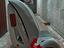 Immagine 2