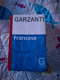 dizionario Francese