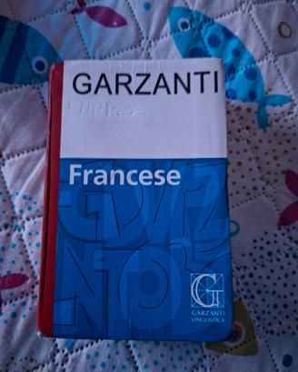 dizionario Francese