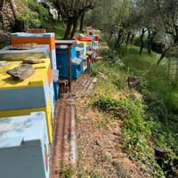 Arnie per api da 6 e da 10 telaini