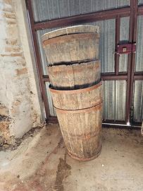 BICONCI