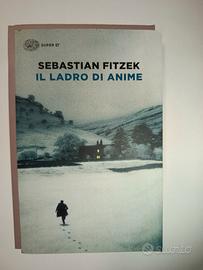 il ladro di anime 