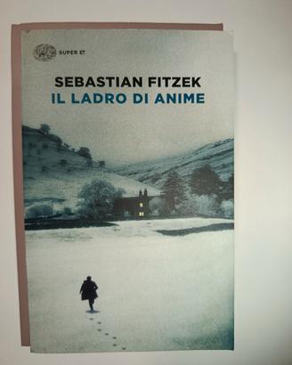 il ladro di anime 