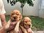 Immagine 5