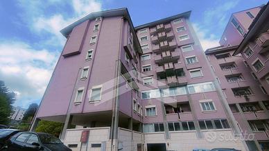 Appartamento - Campobasso