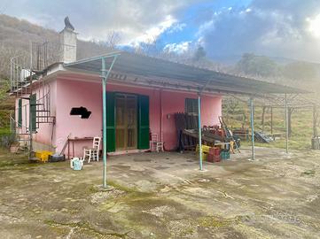 Terreno con Casa