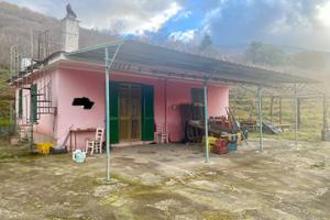 Terreno con Casa
