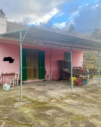 Terreno con Casa