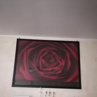 Due grandi  splendidi quadri 