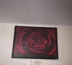 Due grandi  splendidi quadri 