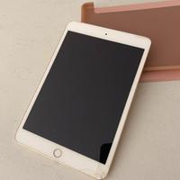 Ipad Mini 3 con custodia