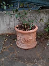 vaso terracotta 