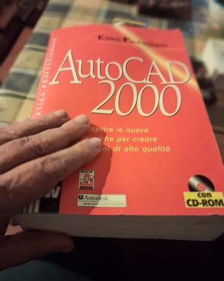 autocad 2000 di Finkestein
