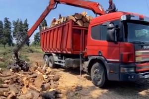 Camion Scania 94d 310 con gru caricatrice