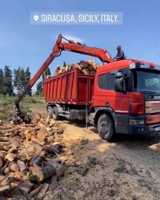 Camion Scania 94d 310 con gru caricatrice