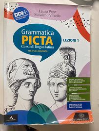 Grammatica Picta 1