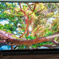 TV SAMSUNG QLED Ultra HD 4K 55" - PERFETTO