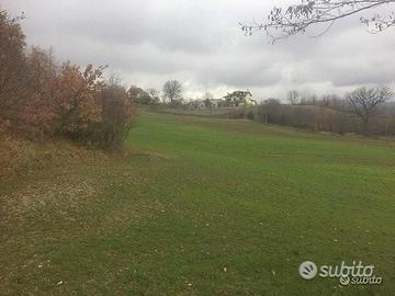 Terreno ad uso residenziale agricolo agriturismo