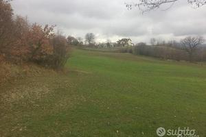 Terreno ad uso residenziale agricolo agriturismo