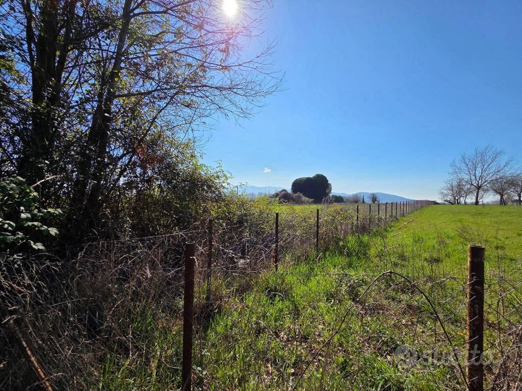 Rustico / Casale di 80 m² con 4 locali a Cave - Vista 5