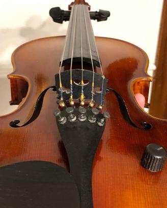 Zeta Violin Acoustic Pro 5 Corde