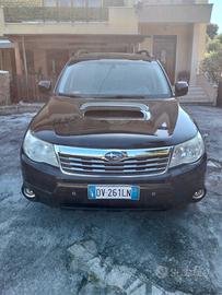 Subaru Abruzzo 