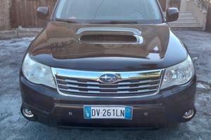 Subaru Abruzzo 