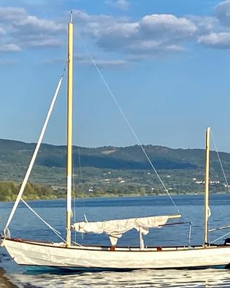 Barca a Vela Honnor Marine Longboat