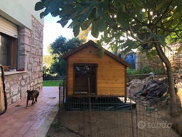 Cuccia cane grandi dimensioni