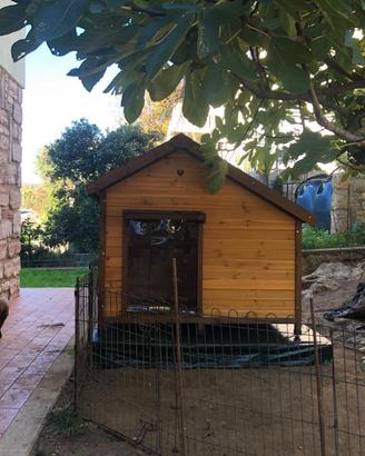 Cuccia cane grandi dimensioni