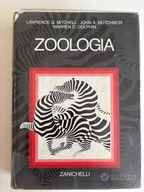 Zoologia Mitchell, Mutchmor, Dolphin